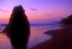 lucid dream